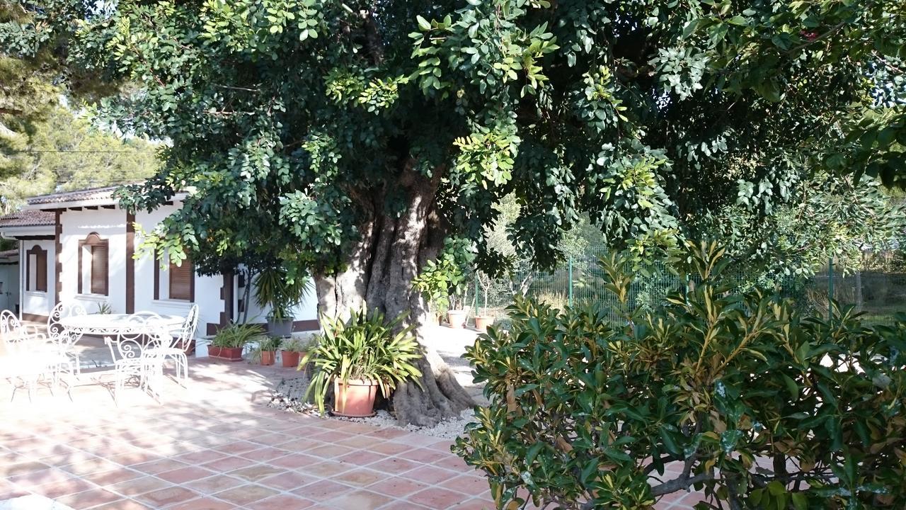 Villa Chabola Denia Exteriér fotografie