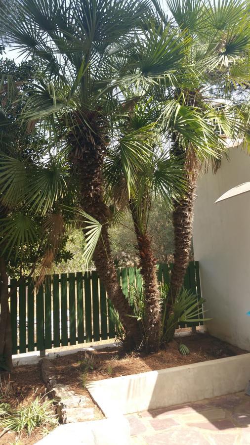 Villa Chabola Denia Exteriér fotografie