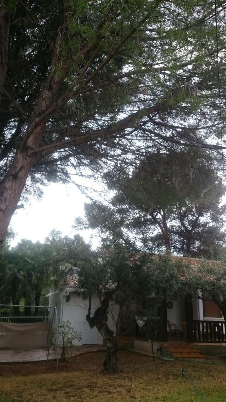 Villa Chabola Denia Exteriér fotografie